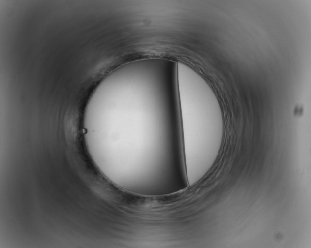 X0000103260600200808291044