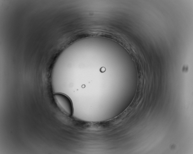 X0000103260601200808291044