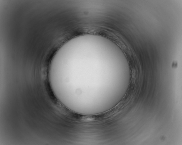 X0000103260602200808291044