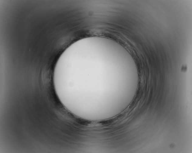 X0000103260603200808291044