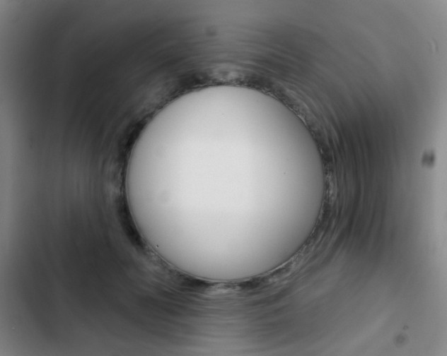 X0000103260606200808291044