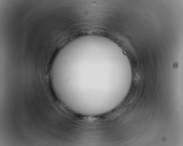 X0000103260607200808291044