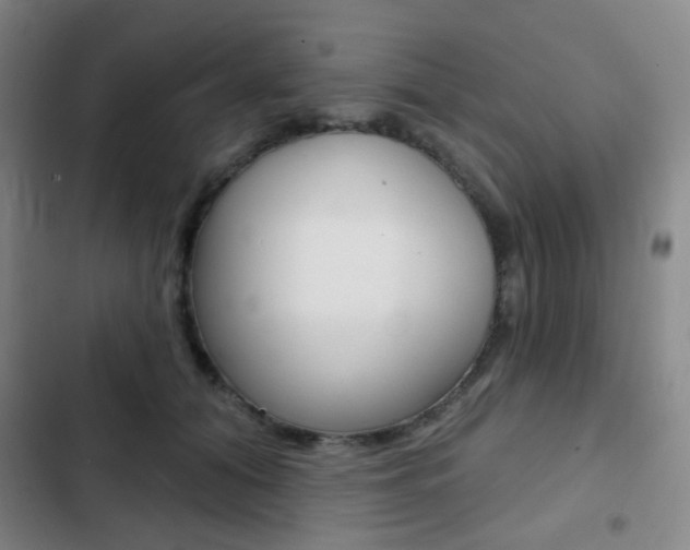 X0000103260608200808291044