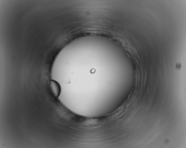 X0000103260609200808291044