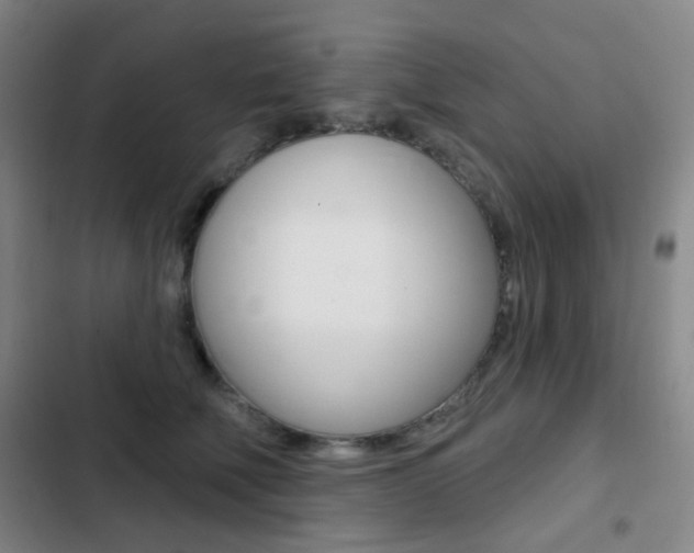 X0000103260610200808291044