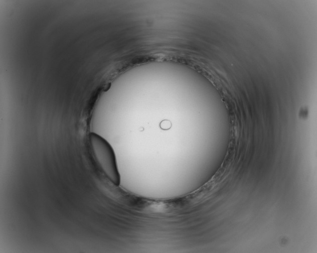 X0000103260611200808291044