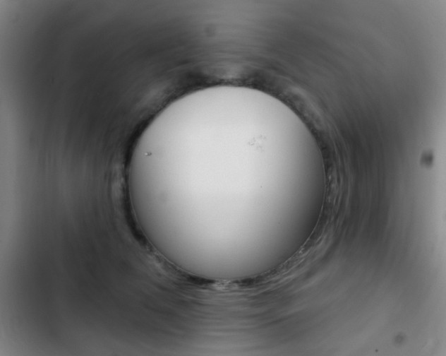 X0000103260612200808291044