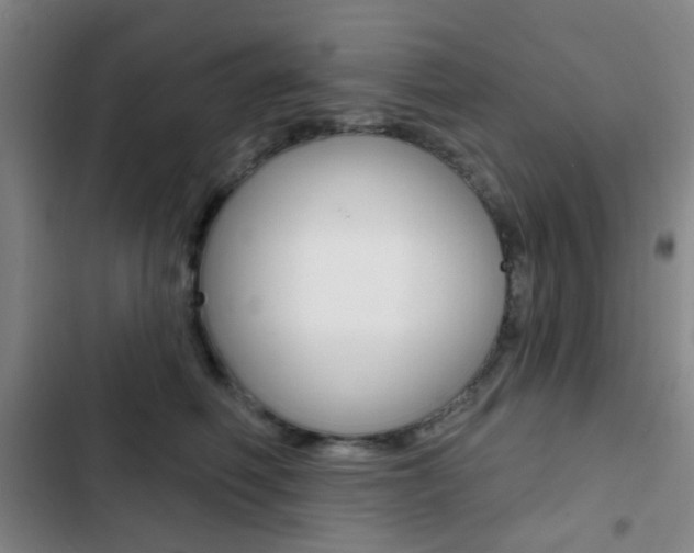 X0000103260614200808291044