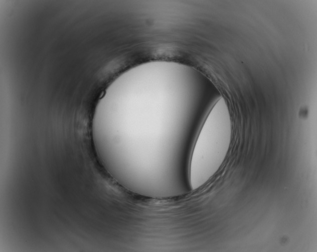 X0000103260619200808291044