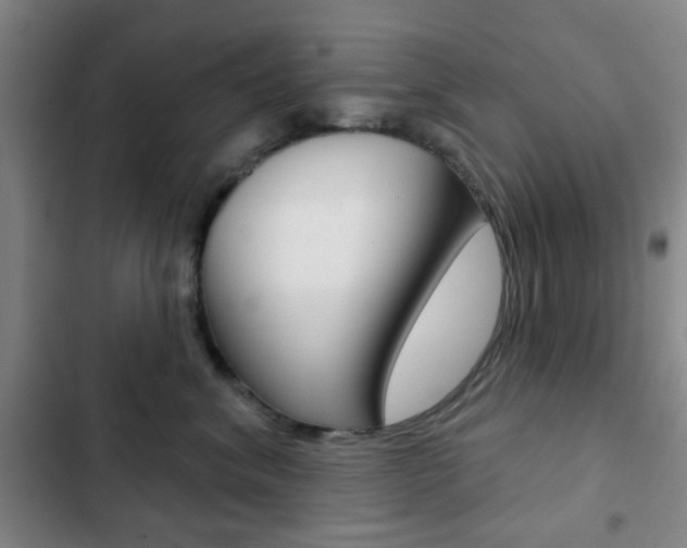 X0000103260620200808291044