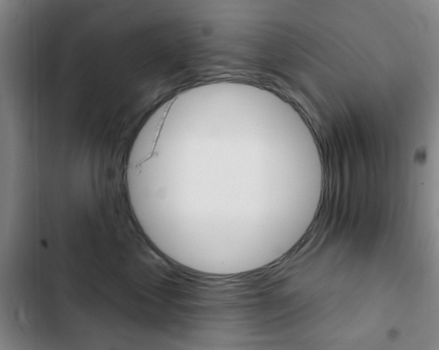 X0000103260621200808291044