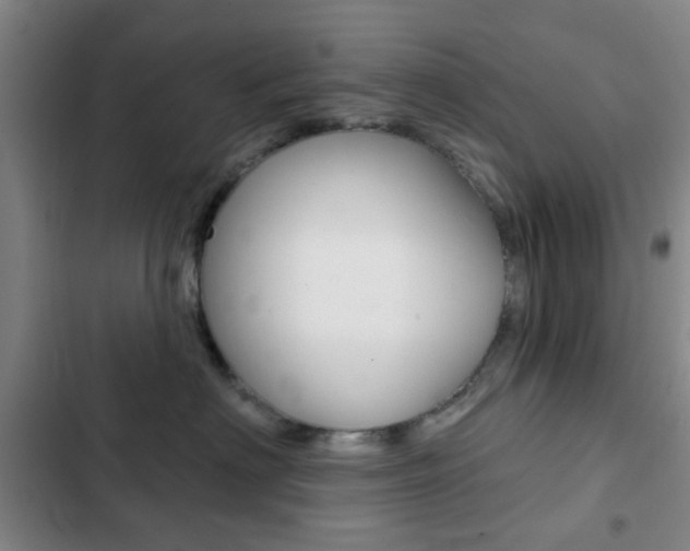 X0000103260622200808291044