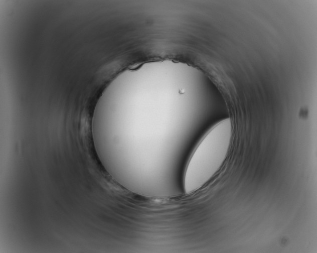 X0000103260623200808291044