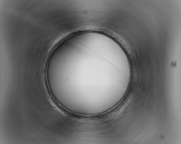 X0000103260625200808291043