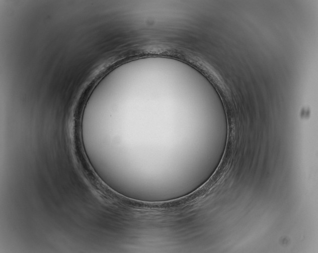 X0000103260626200808291043