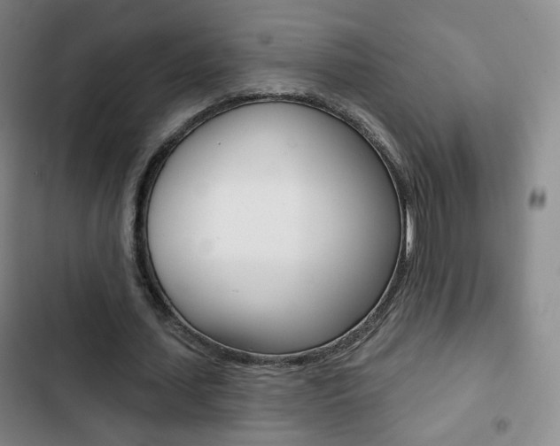 X0000103260627200808291043