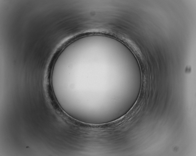 X0000103260628200808291043