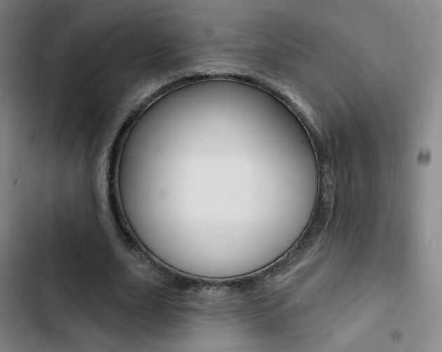 X0000103260631200808291043