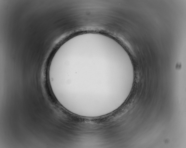 X0000103260632200808291043