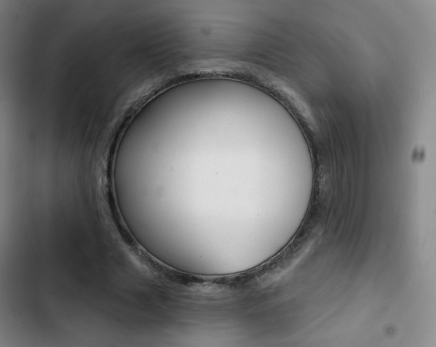 X0000103260633200808291043