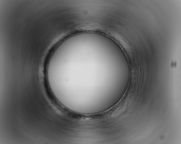 X0000103260634200808291043