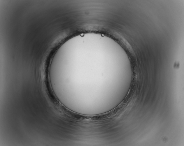X0000103260635200808291043