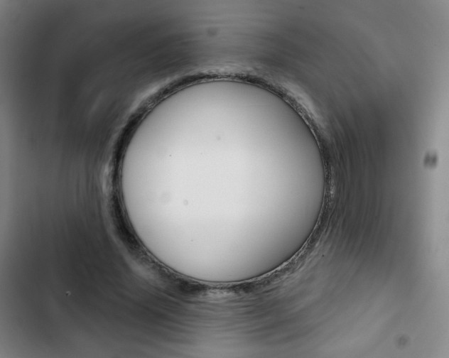 X0000103260636200808291043