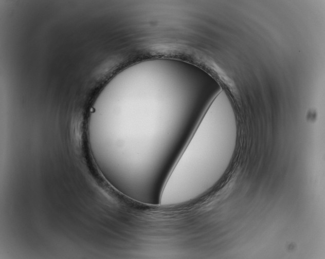 X0000103260637200808291043