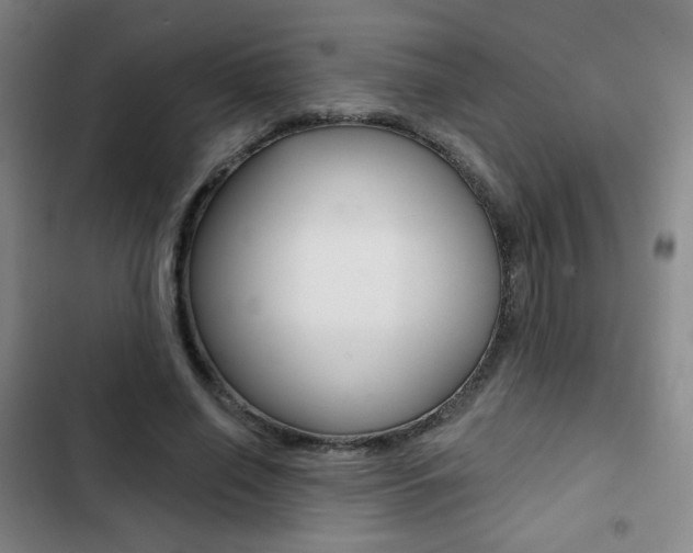 X0000103260638200808291043