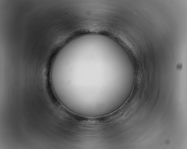 X0000103260639200808291043