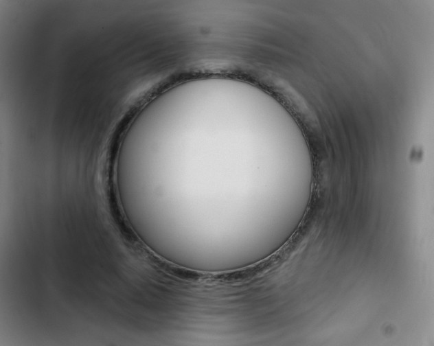 X0000103260640200808291043