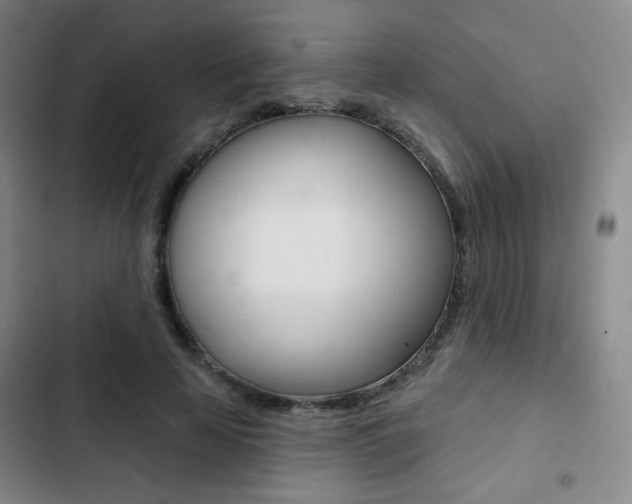 X0000103260641200808291043