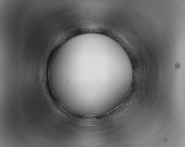 X0000103260642200808291043