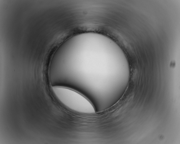 X0000103260643200808291043