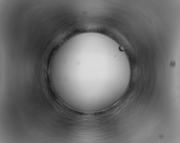 X0000103260644200808291043