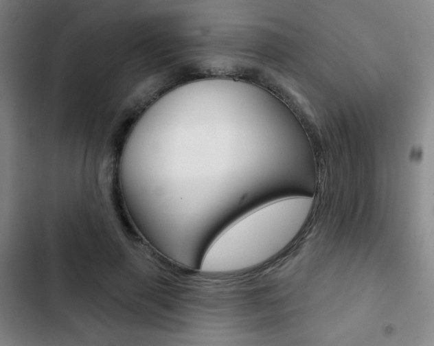 X0000103260645200808291043