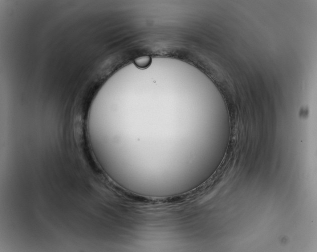 X0000103260646200808291043