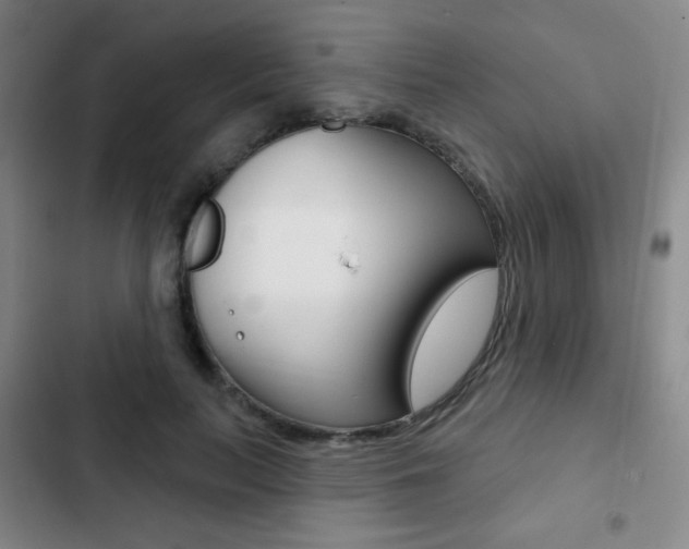 X0000103260647200808291043