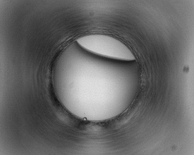 X0000103260648200808291043