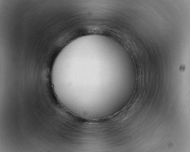X0000103260649200808291043