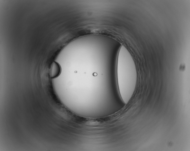 X0000103260650200808291044