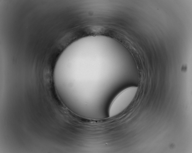 X0000103260651200808291044
