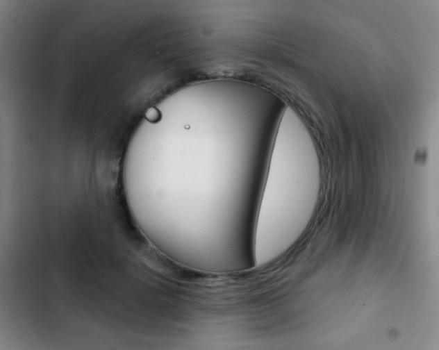 X0000103260652200808291044