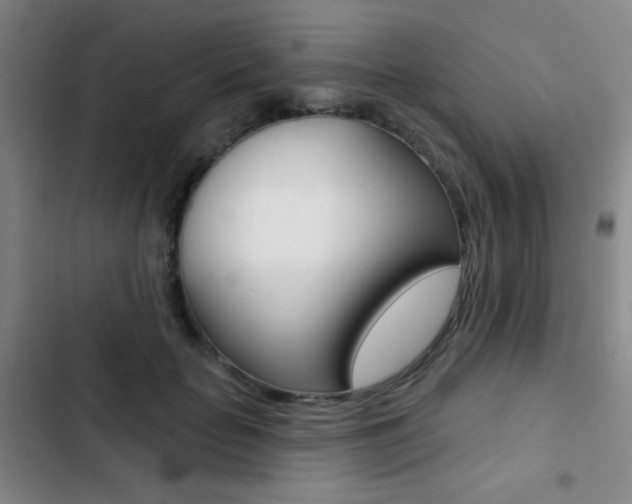 X0000103260653200808291044