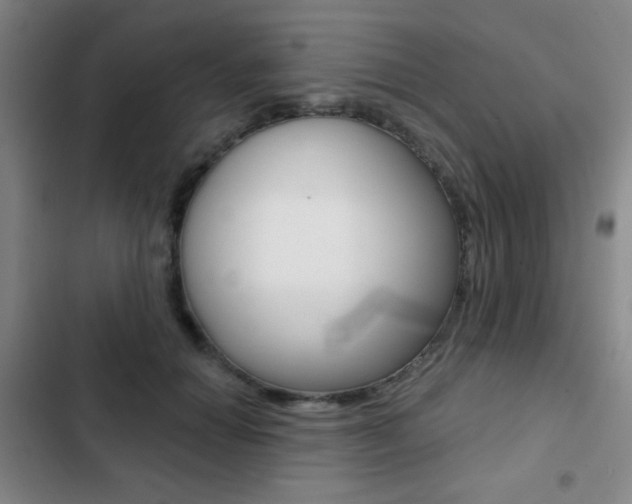 X0000103260654200808291044