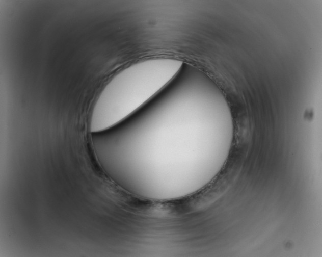 X0000103260656200808291044