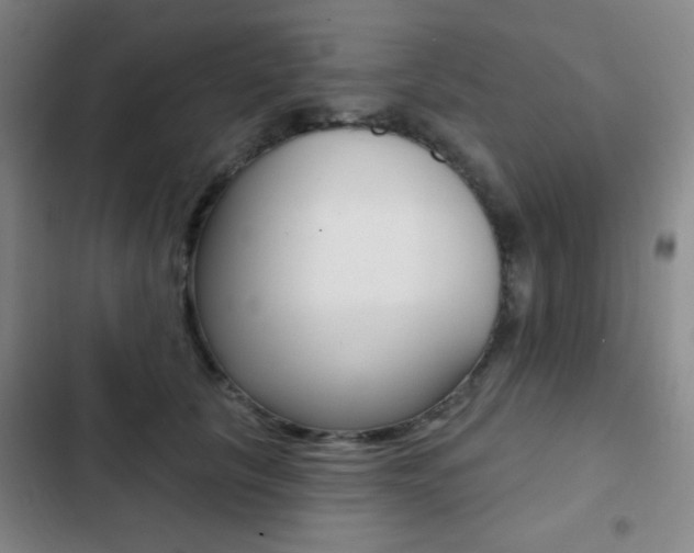 X0000103260657200808291044