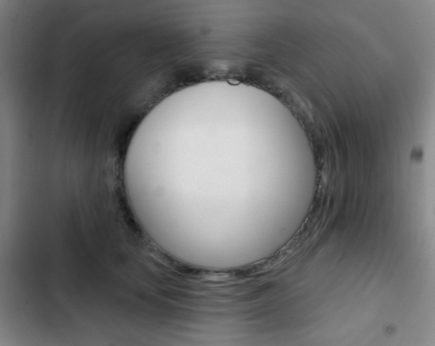 X0000103260659200808291044