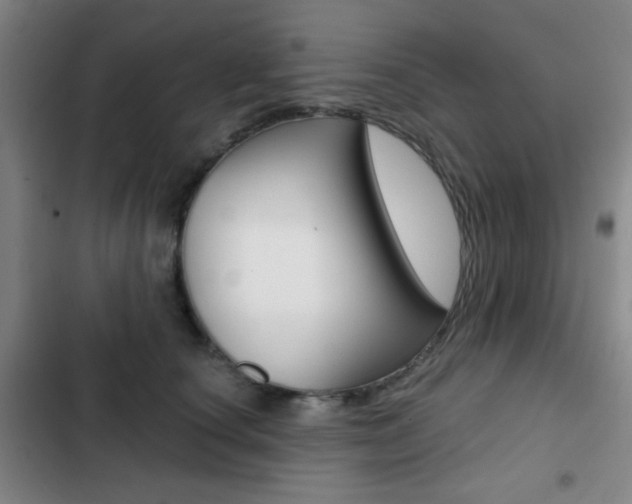 X0000103260660200808291044