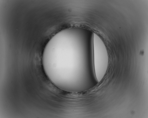 X0000103260661200808291044